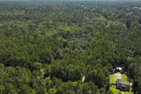 Land in Sopchoppy, Florida № 1373345 - photo 22