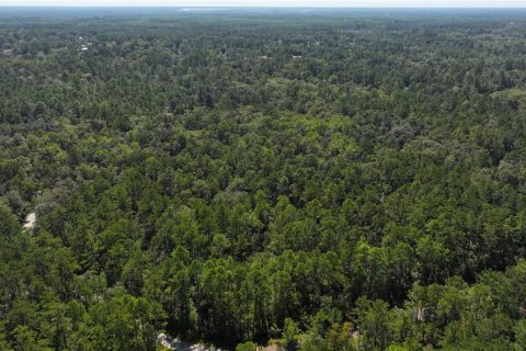 Land in Sopchoppy, Florida № 1373345 - photo 19