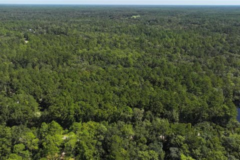 Land in Sopchoppy, Florida № 1373345 - photo 7