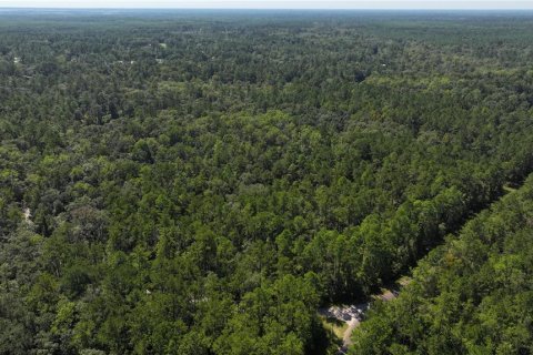 Land in Sopchoppy, Florida № 1373345 - photo 16