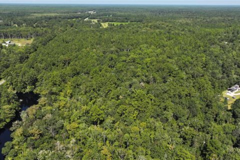 Land in Sopchoppy, Florida № 1373345 - photo 10