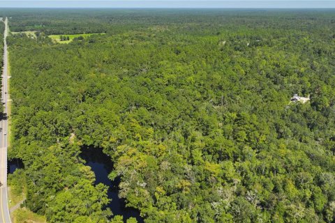 Terreno en venta en Sopchoppy, Florida № 1373345 - foto 9