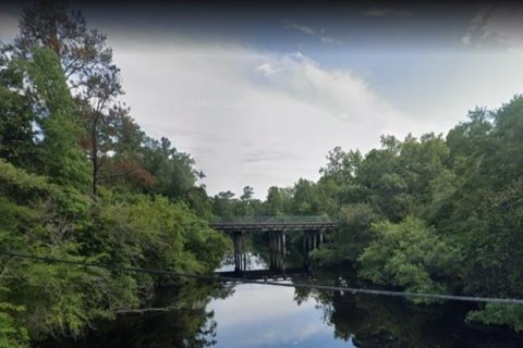 Land in Sopchoppy, Florida № 1373345 - photo 4