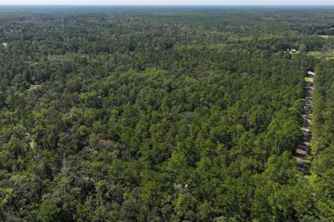 Land in Sopchoppy, Florida № 1373345 - photo 15