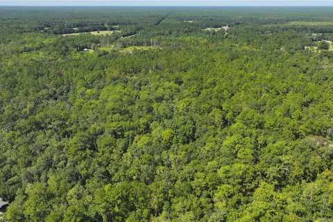 Land in Sopchoppy, Florida № 1373345 - photo 12