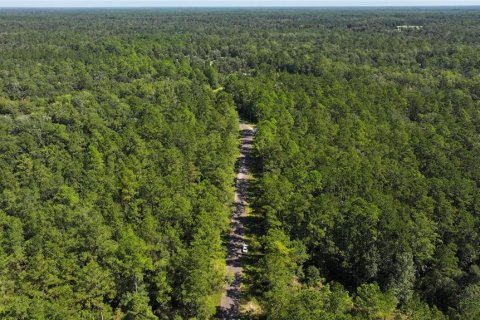 Land in Sopchoppy, Florida № 1373345 - photo 20