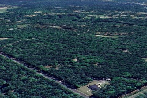 Land in Sopchoppy, Florida № 1373345 - photo 2