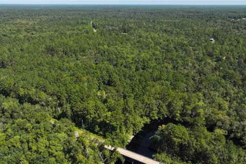 Terreno en venta en Sopchoppy, Florida № 1373345 - foto 8