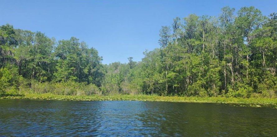 Terreno en Dunnellon, Florida № 1422863