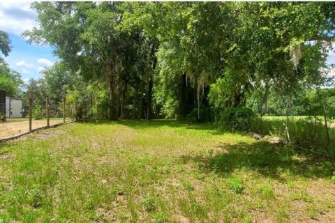 Terreno en venta en Dunnellon, Florida № 1422863 - foto 8