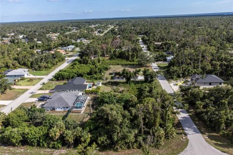 Land in Port Charlotte, Florida № 1246191 - photo 8