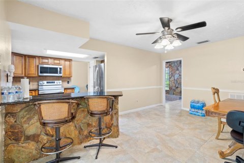 Casa en venta en Tampa, Florida, 6 dormitorios, 401.62 m2 № 1376915 - foto 7