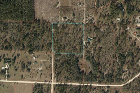 Land in Morriston, Florida № 1355850 - photo 1