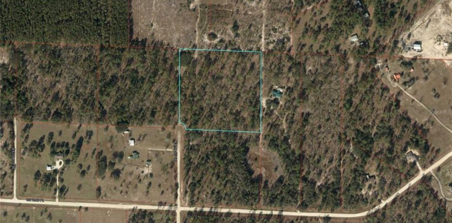 Land in Morriston, Florida № 1355850