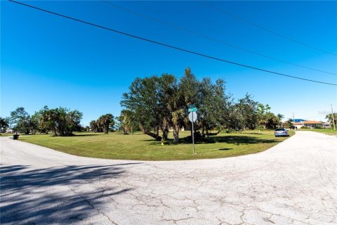 Terreno en venta en Punta Gorda, Florida № 1350331 - foto 6