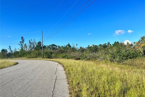 Terrain à vendre à Port Charlotte, Floride № 1301133 - photo 2