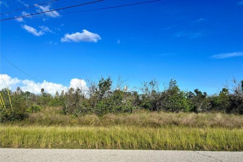 Land in Port Charlotte, Florida № 1301133 - photo 1