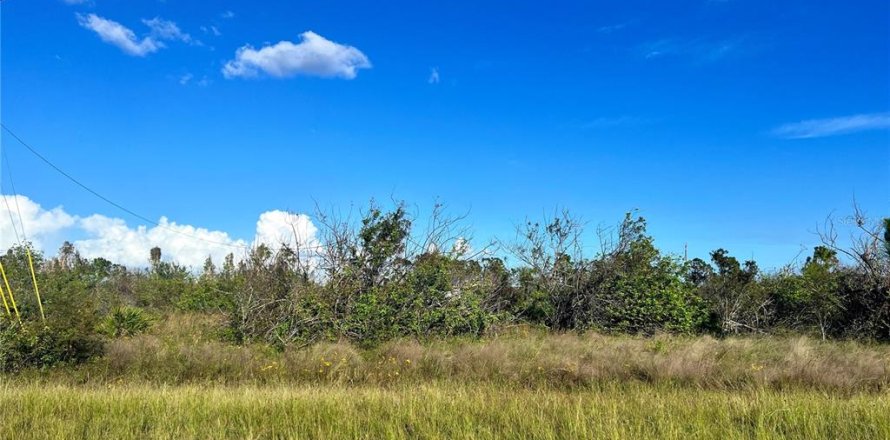 Terreno en Port Charlotte, Florida № 1301133