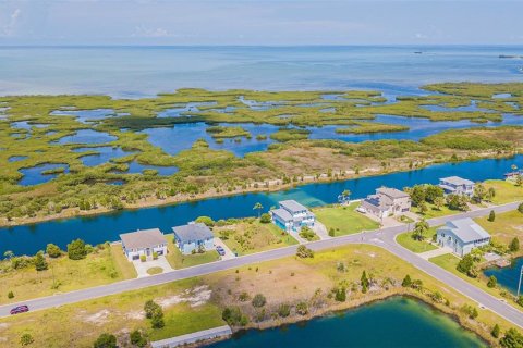 Land in Hernando Beach, Florida № 1301180 - photo 9