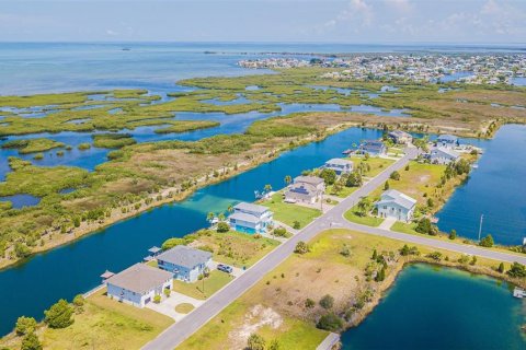 Land in Hernando Beach, Florida № 1301180 - photo 8