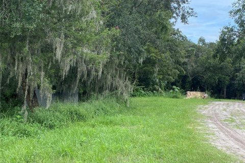 Terreno en venta en Orlando, Florida № 1427608 - foto 1