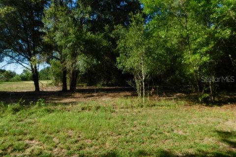 Terreno en venta en Dade City, Florida № 1427612 - foto 6