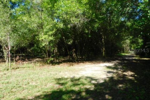 Terreno en venta en Dade City, Florida № 1427612 - foto 7