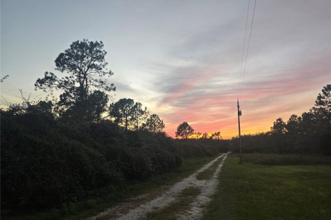 Terreno en venta en Dade City, Florida № 1427612 - foto 20