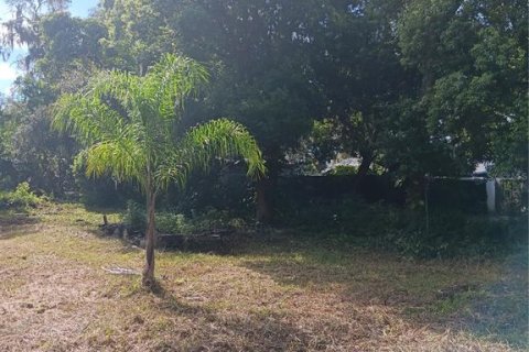 Terreno en venta en Plant City, Florida № 1297564 - foto 11