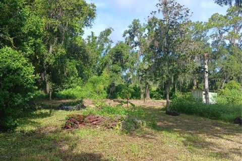 Terreno en venta en Plant City, Florida № 1297564 - foto 4