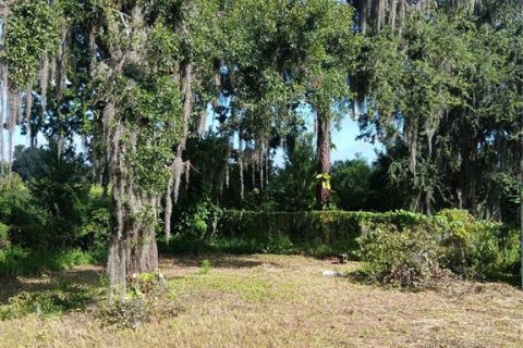 Terreno en venta en Plant City, Florida № 1297564 - foto 10