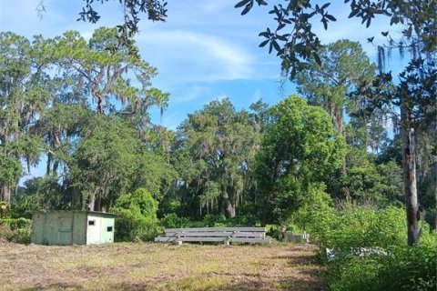 Land in Plant City, Florida № 1297564 - photo 14