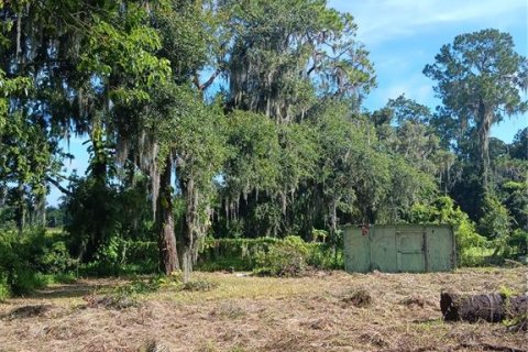 Terreno en venta en Plant City, Florida № 1297564 - foto 8