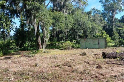 Terrain à vendre à Plant City, Floride № 1297564 - photo 7