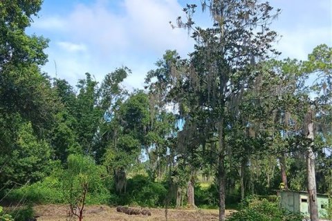 Terreno en venta en Plant City, Florida № 1297564 - foto 3