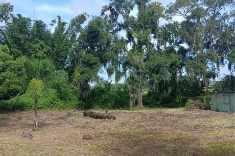 Terreno en venta en Plant City, Florida № 1297564 - foto 1