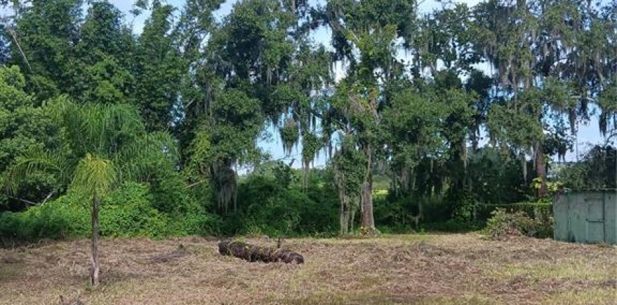 Terrain à Plant City, Floride № 1297564