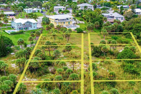 Terrain à vendre à Jensen Beach, Floride № 788706 - photo 23