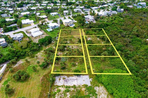 Купить земельный участок в Дженсен-Бич, Флорида № 788706 - фото 6