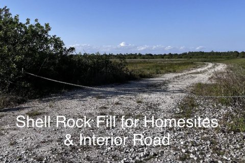 Terreno en venta en Clewiston, Florida № 1079554 - foto 12