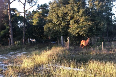 Land in Clewiston, Florida № 1079554 - photo 13