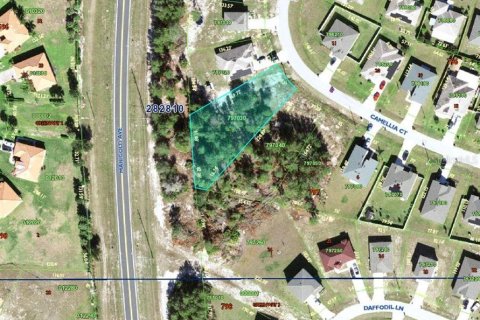 Terreno en venta en Kissimmee, Florida № 1295227 - foto 3