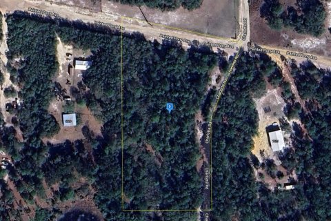 Terreno en venta en Melrose, Florida № 1382222 - foto 1