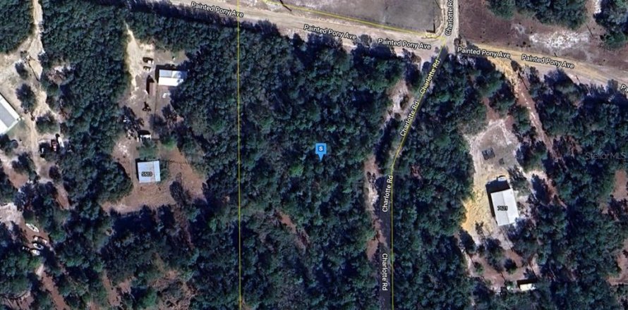 Land in Melrose, Florida № 1382222