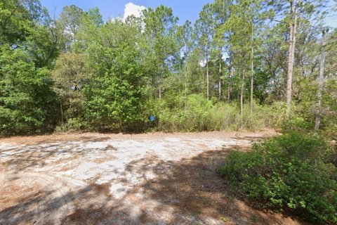 Terreno en venta en Melrose, Florida № 1382222 - foto 2