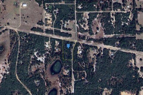 Land in Melrose, Florida № 1382222 - photo 3