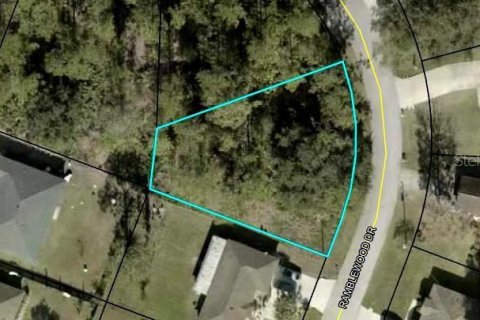 Land in Palm Coast, Florida № 1382223 - photo 2