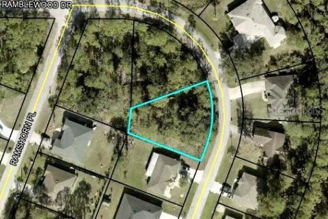 Terreno en venta en Palm Coast, Florida № 1382223 - foto 5