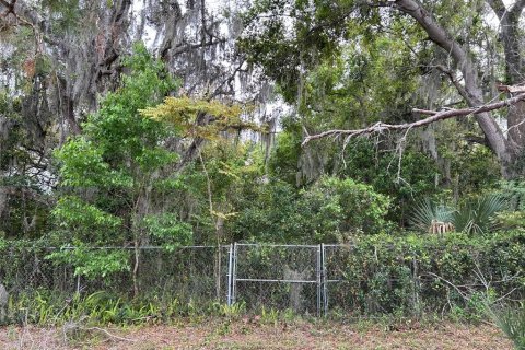 Terreno en venta en Orlando, Florida № 1382565 - foto 1