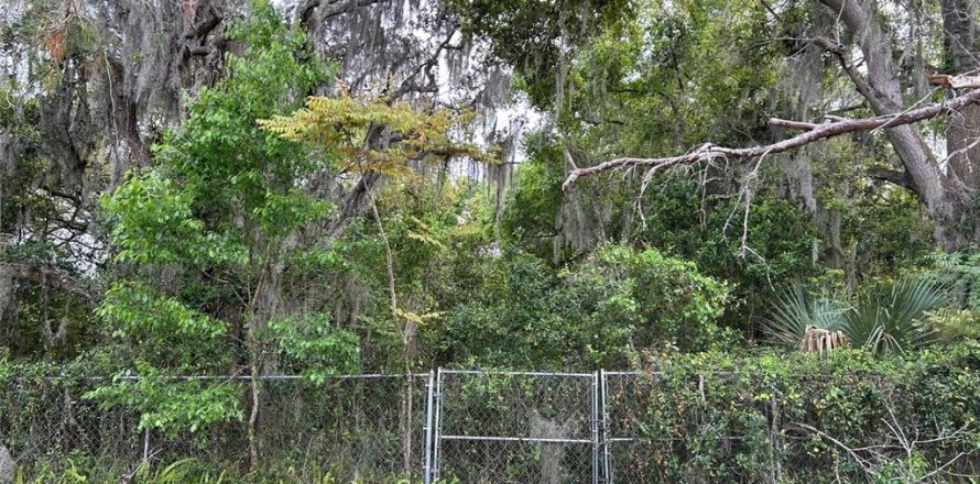 Terrain à Orlando, Floride № 1382565